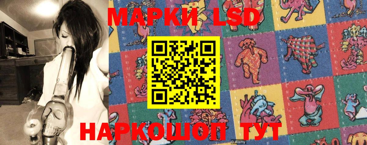 Наркотические марки 1500мкг  Вход с VPN  Дзержинск  Наркотические марки 1500мкг 
