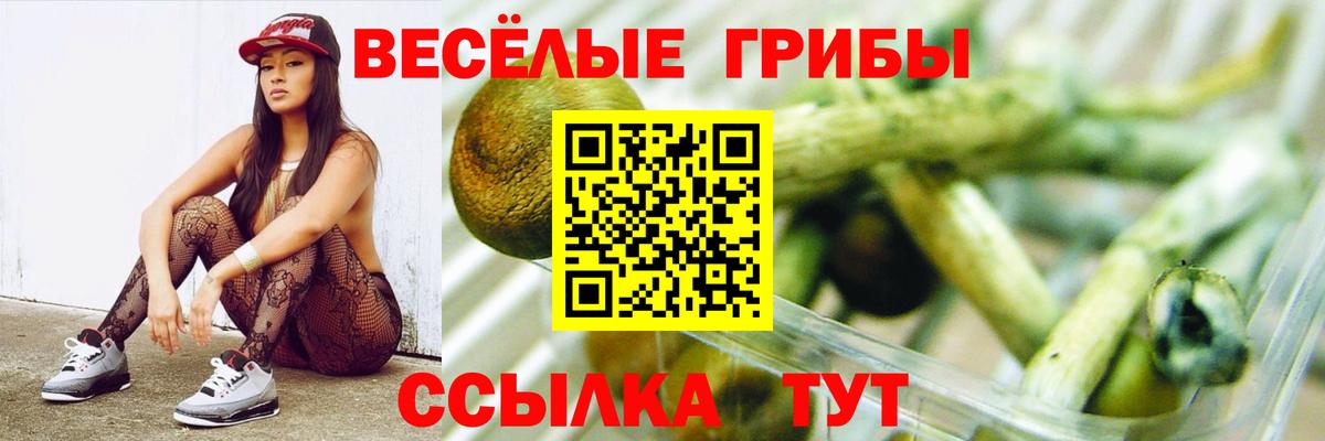 Дзержинск  Псилоцибиновые грибы Magic Shrooms  Вход с VPN  Галлюциногенные грибы MAGIC MUSHROOMS 